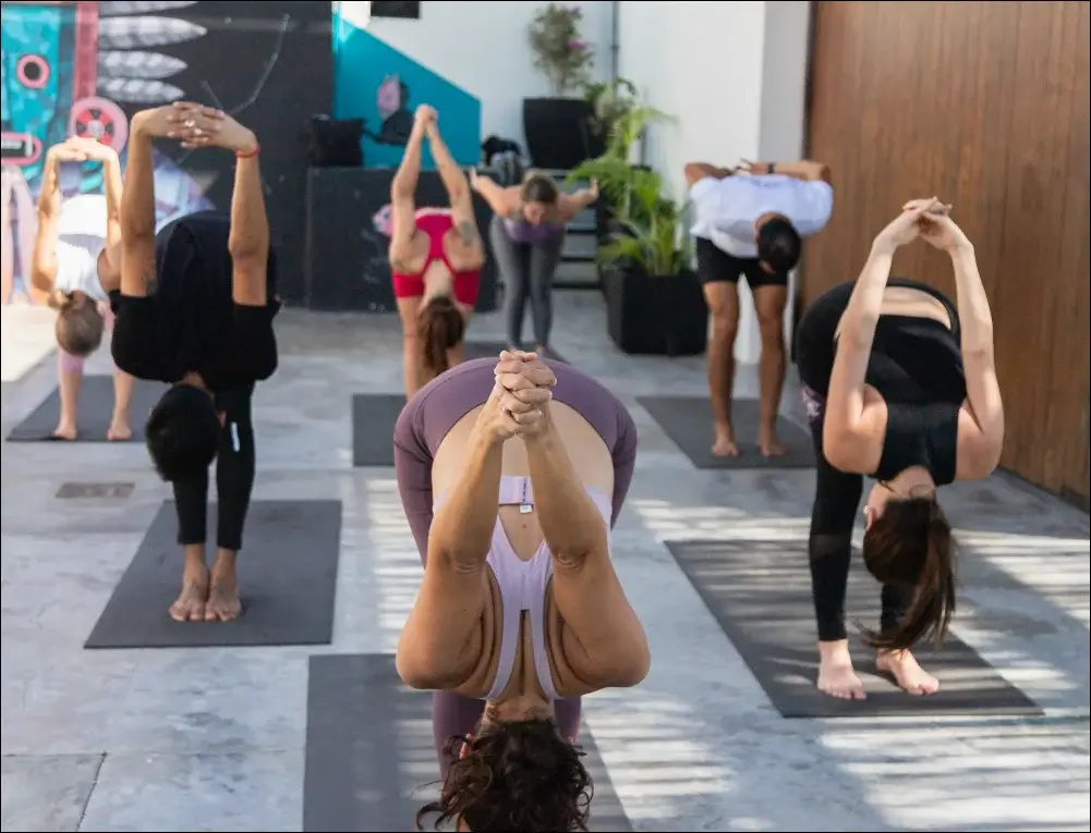 Wellness 02