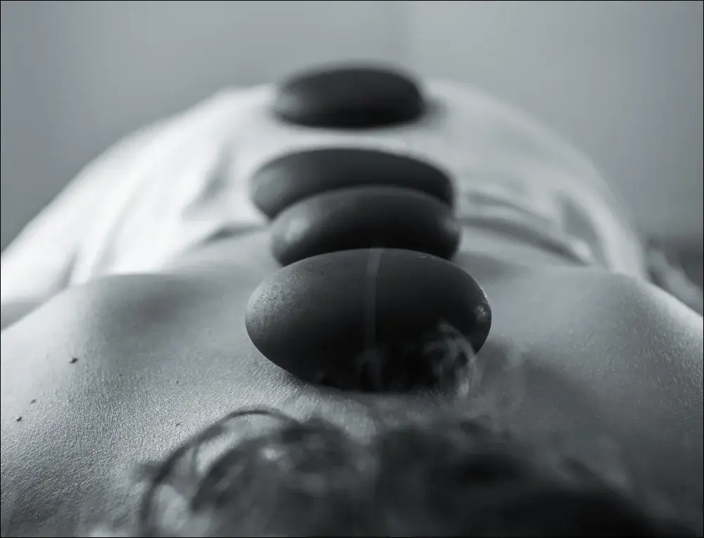 Wellness 03